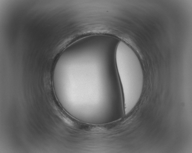 X0000062850397200601130926