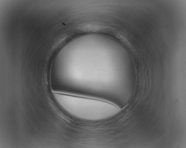 X0000062850399200601130926