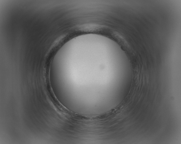 X0000062850400200601130926