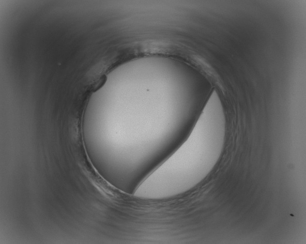 X0000062850401200601130926