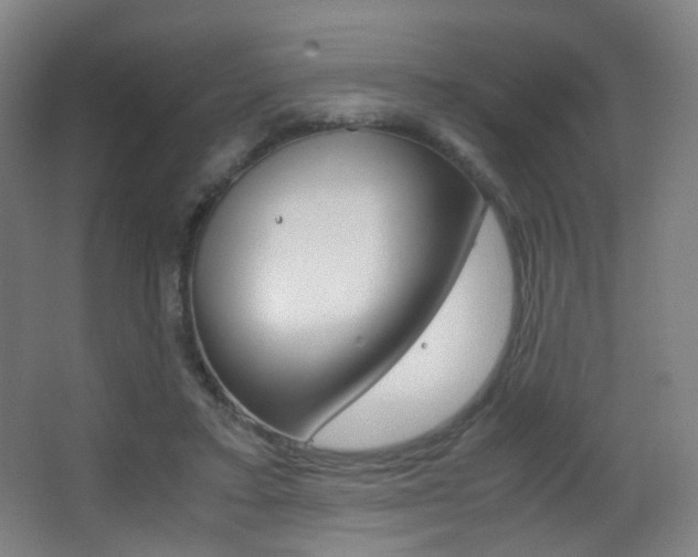 X0000062850403200601130926