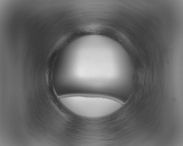 X0000062850404200601130926