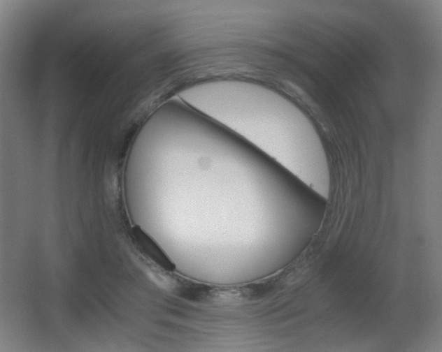 X0000062850405200601130926