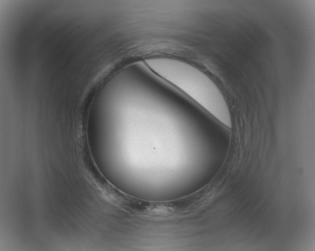 X0000062850407200601130926