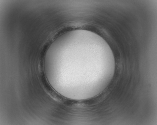 X0000062850408200601130926