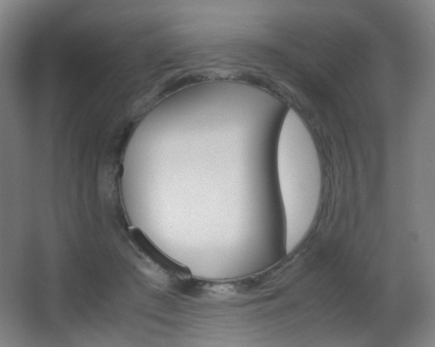 X0000062850409200601130926