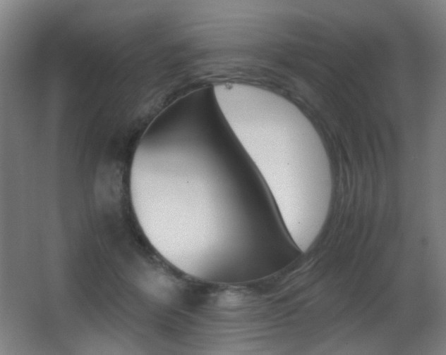 X0000062850412200601130926