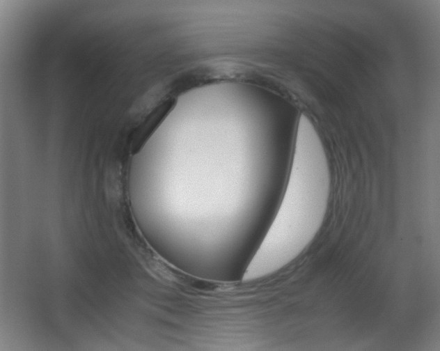 X0000062850413200601130926