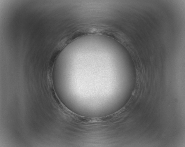 X0000062850415200601130926