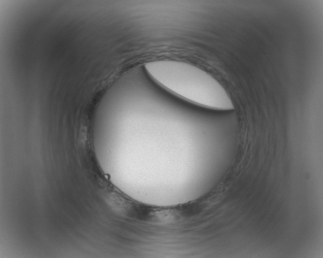 X0000062850417200601130926