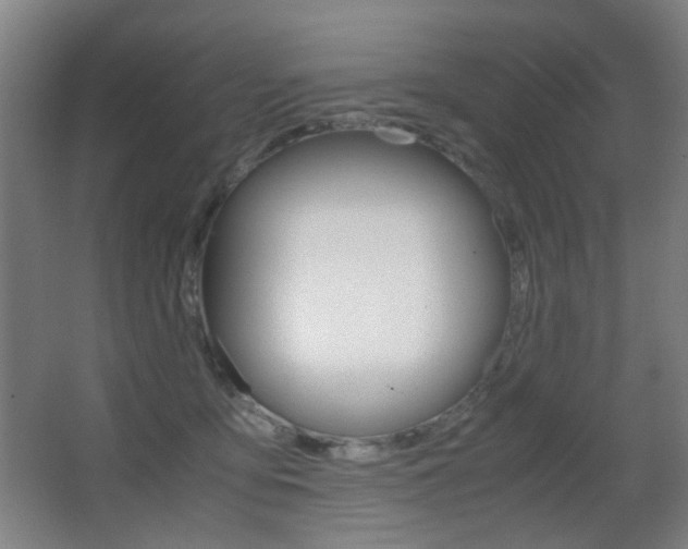 X0000062850419200601130926