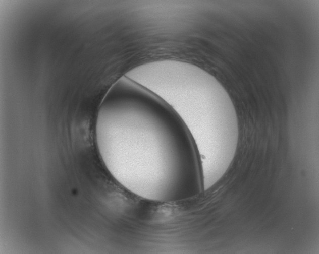 X0000062850420200601130926