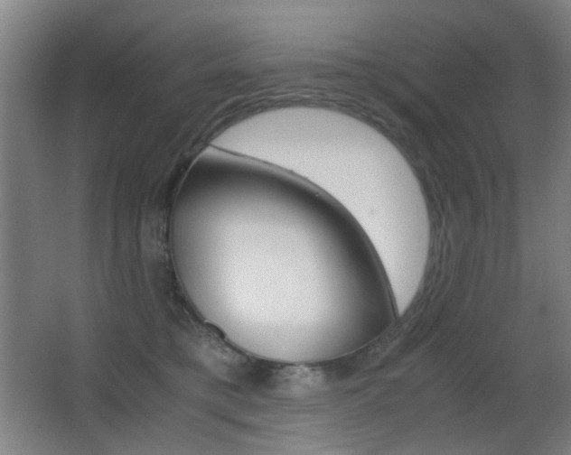 X0000062850421200601130926