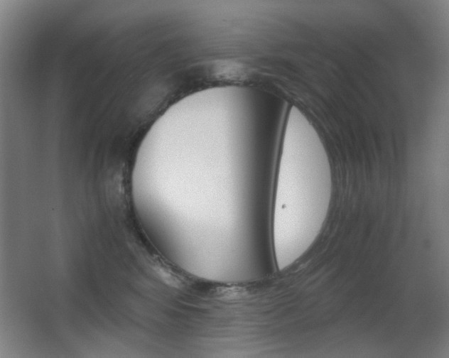 X0000062850424200601130926