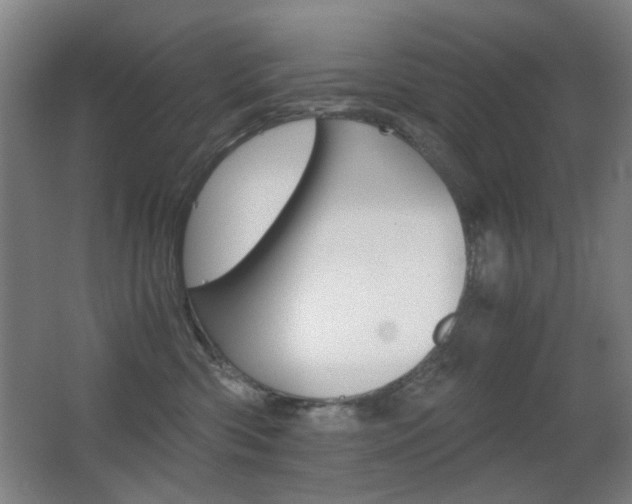 X0000062850426200601130926