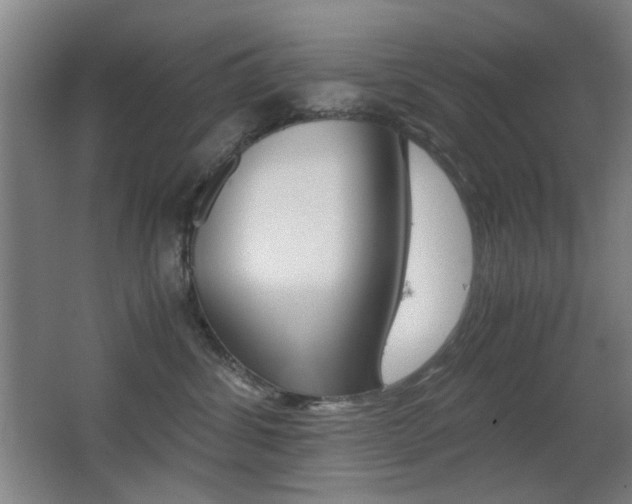 X0000062850428200601130926