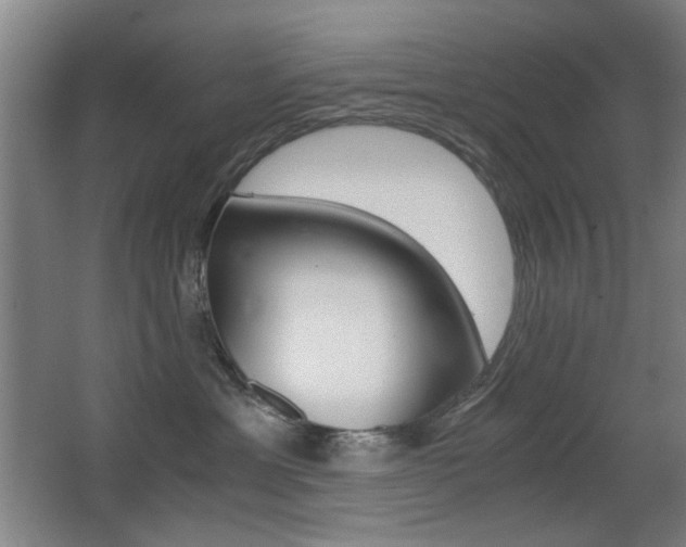 X0000062850429200601130926