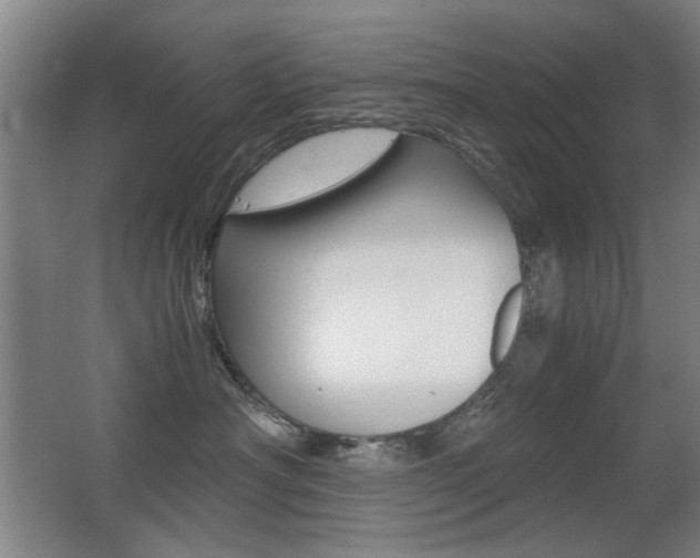 X0000062850430200601130926