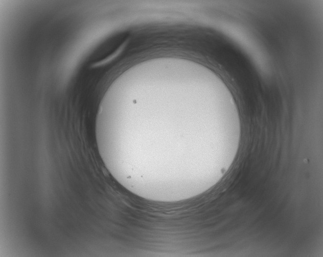 X0000062850431200601130926