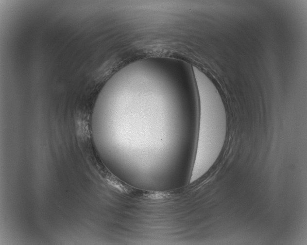 X0000062850432200601130926