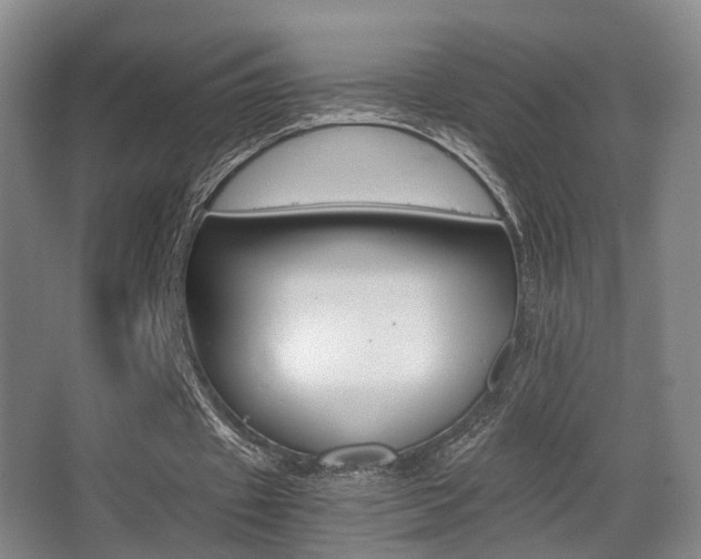 X0000062850433200601130925