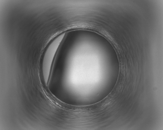 X0000062850434200601130925