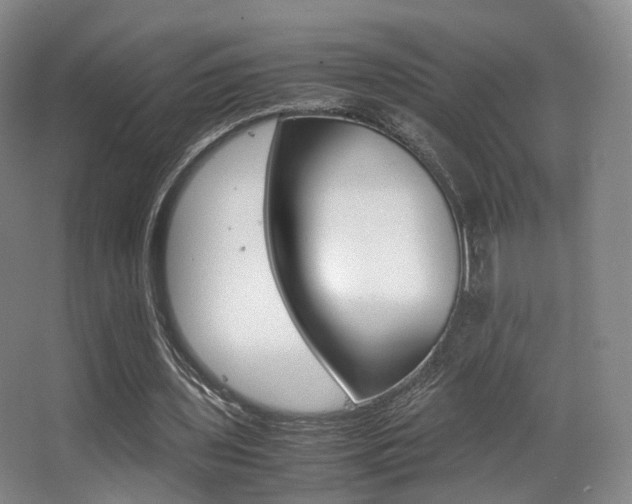 X0000062850435200601130925