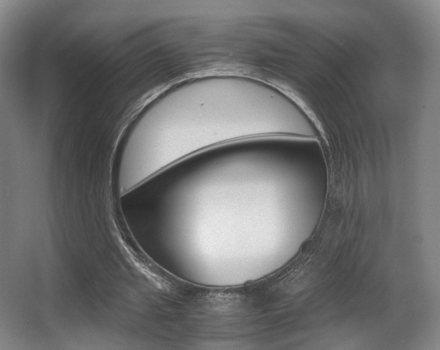 X0000062850437200601130925