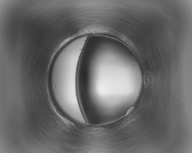 X0000062850438200601130925