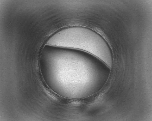 X0000062850441200601130925