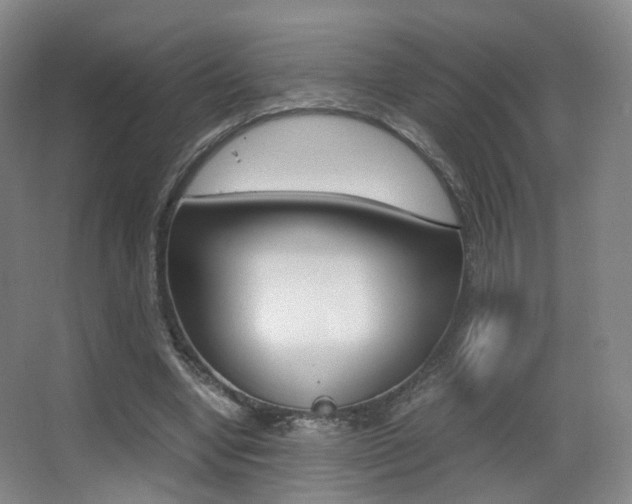 X0000062850442200601130925