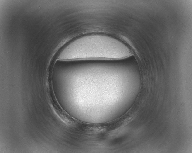 X0000062850443200601130925