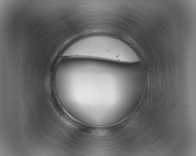 X0000062850444200601130925