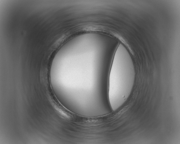 X0000062850445200601130925