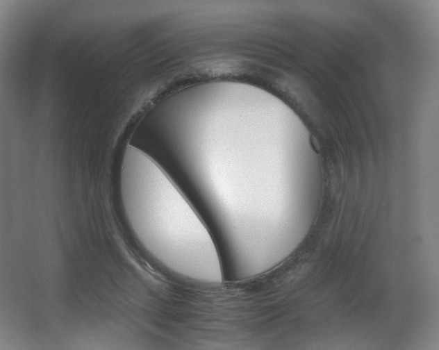 X0000062850447200601130925