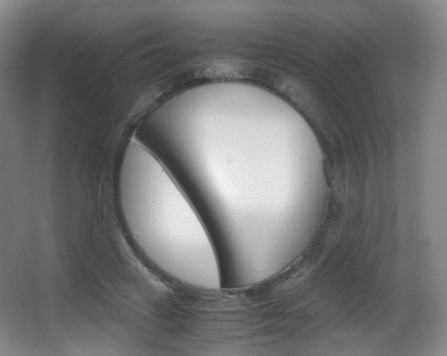 X0000062850449200601130925