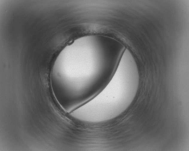 X0000062850450200601130925