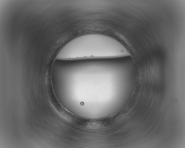 X0000062850451200601130925