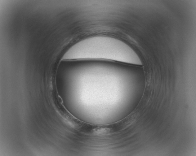 X0000062850452200601130925