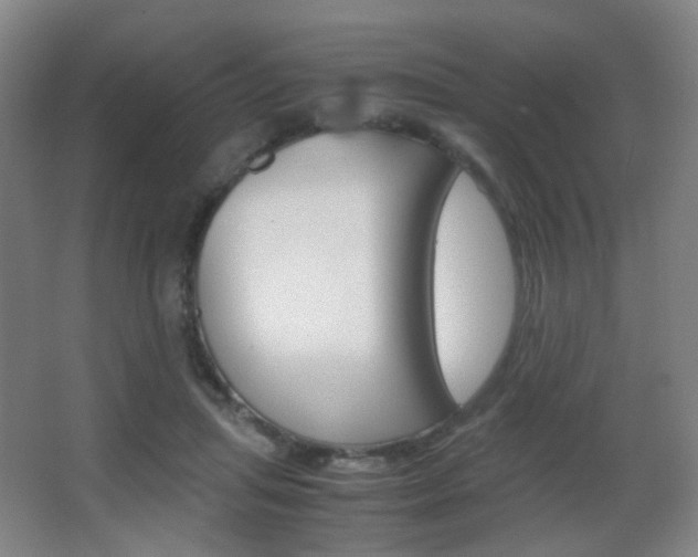 X0000062850455200601130925