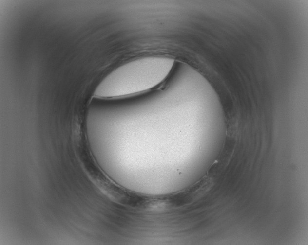 X0000062850456200601130925