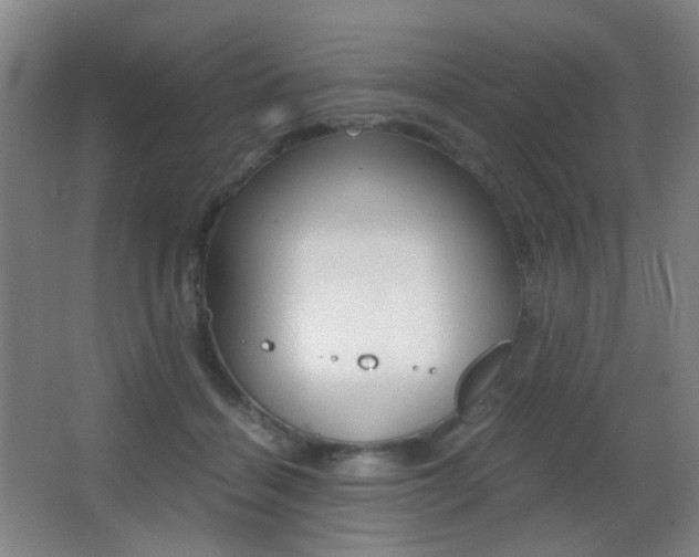 X0000062850460200601130925