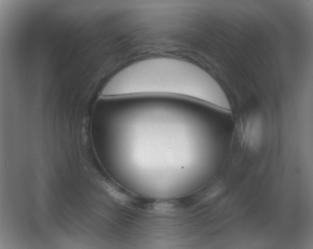 X0000062850462200601130925