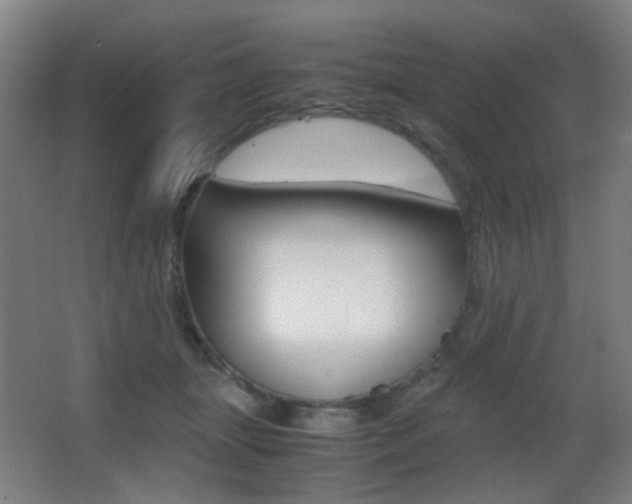 X0000062850463200601130925