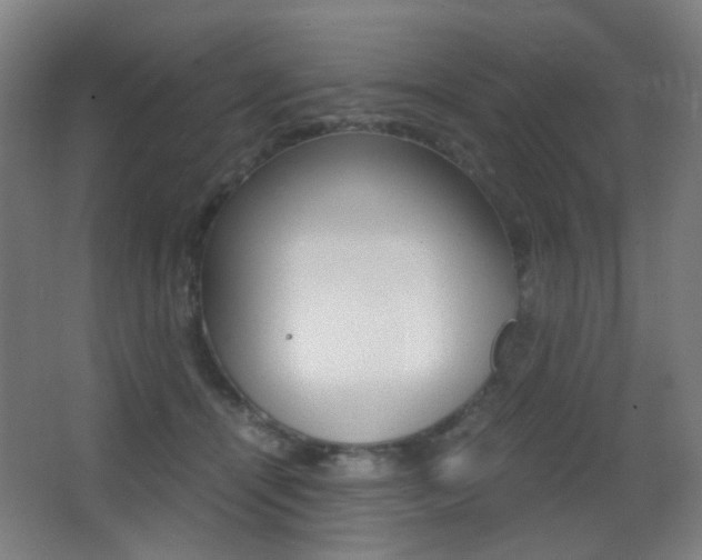 X0000062850464200601130925