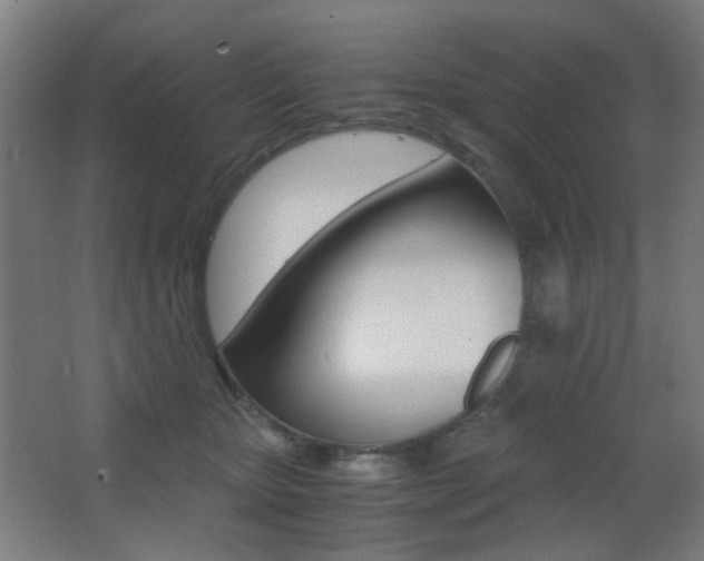 X0000062850467200601130925