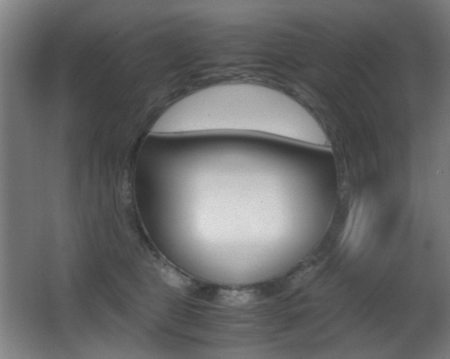 X0000062850469200601130926