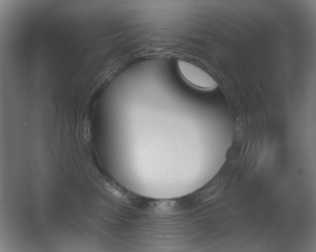 X0000062850474200601130926