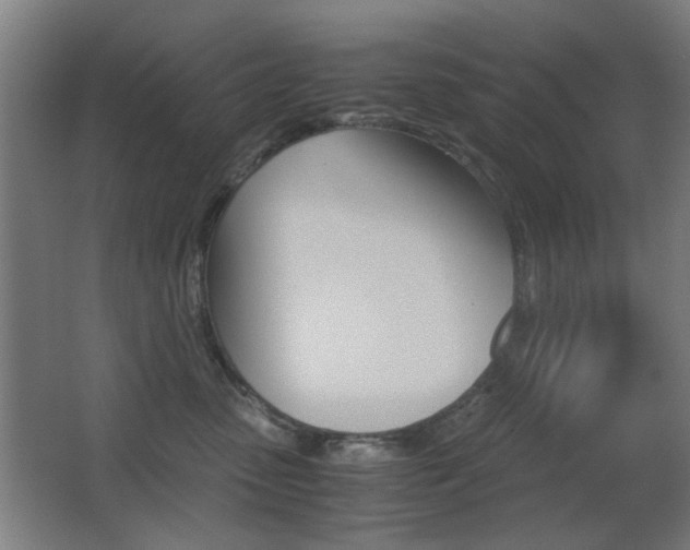 X0000062850475200601130926