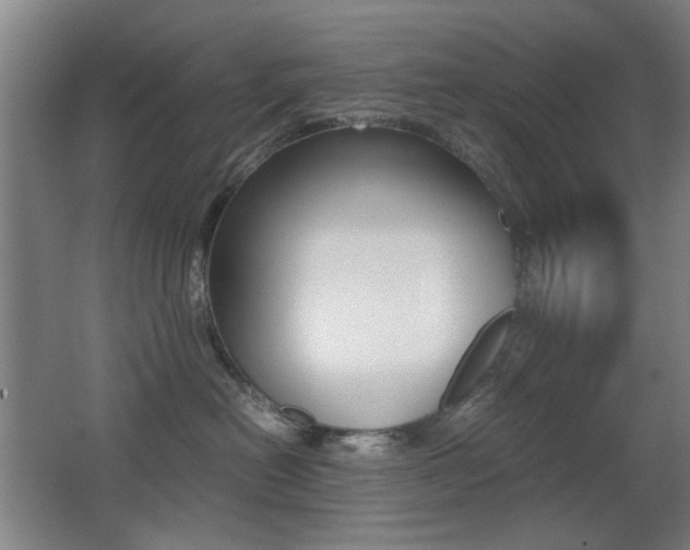 X0000062850478200601130926